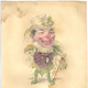 Illustration for article titled In the 1870s, Charles Darwin was the theme of a downright deranged Mardi Gras parade
